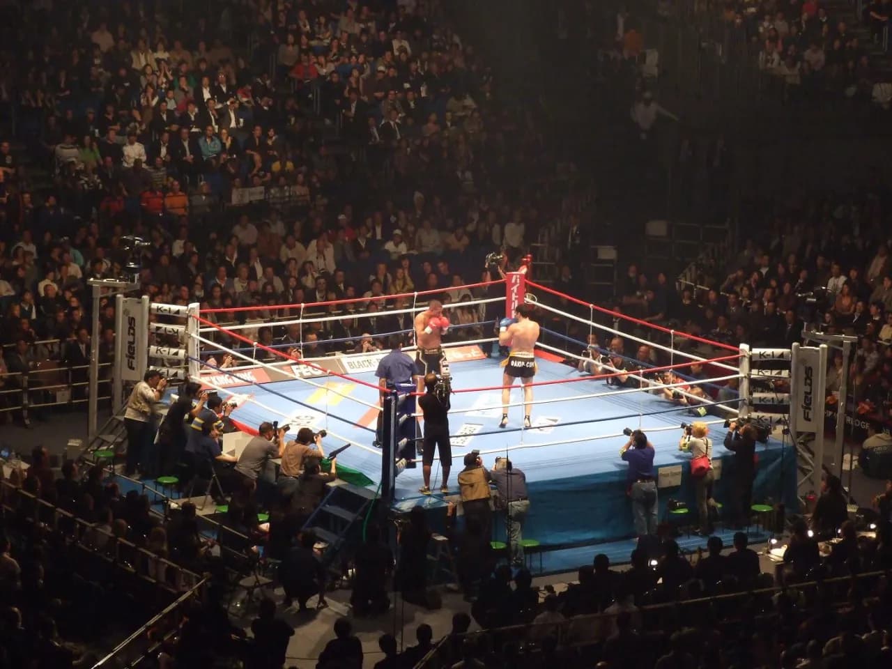 K1 co to za sztuka walki? Poznaj zasady i historię tego sportu